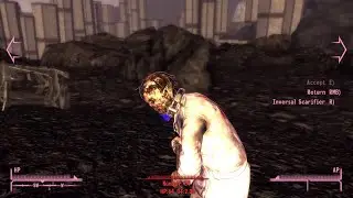 Little Yangtze's Number 34 and Number 27 (Fallout New Vegas)