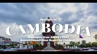 Spotlight on Cambodia: Highlights from the 2024 Annual Consultation Report