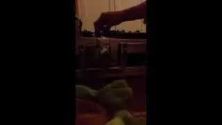 FULL CHICHA ECUATORIANO