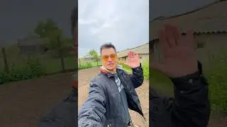 Миллионер с нуля выращивает кизильник