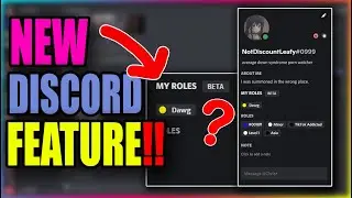 Discord is HIDING this SECRET NEW Beta FEATURE..