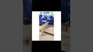 Так близко...