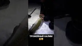 ТРОФЕЙНЫЙ НАЛИИ 
