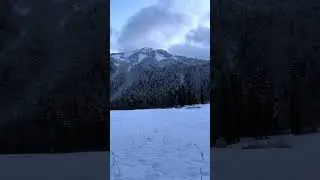 22 ноября 2023 г.