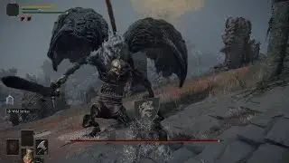 Elden Ring - "Oh, That's a Boss" - Black Blade Kindred First Encounter