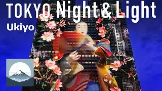 Ukiyo - Tokyo Night & Light (Shinjuku Government Building Projection Mapping)