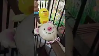 #ilycute☺️
