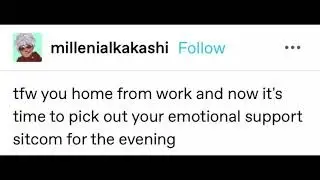 Emotional Support Sitcom