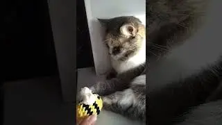 Мега приз! Беспроигрышная лотерея!