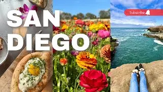 Must Do for Your Girls trip in San Diego - 2024