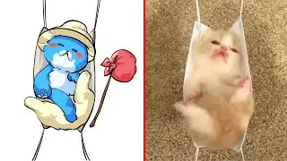 😂Cat Memes: Smurf Cat - We Live, We Love, We Lie 😹 Funny Animals That Will Make You Laugh 2023 😊