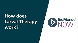 How does Larval Therapy work? | Your Questions Answered