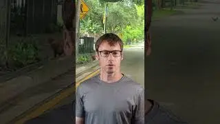 Wild Chickens in Miami?