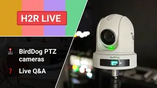 Live playing with BirdDog P120 cameras! // H2R Live