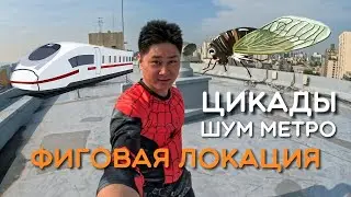 Шумный Сеул