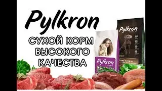 Сухой корм для собак и кошек Pylkron