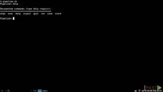 24   Using Shell Scripts or Batch Files to Run Our Programs
