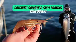 UNLOCKING Vancouver’s Fishing Potential: PRAWNING and WINTER CHINOOK FISHING! 🎣🦐