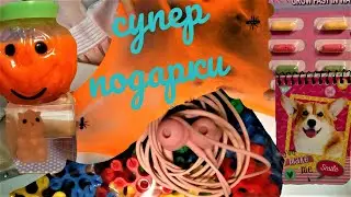 Что подарить девочке на праздник? Топ 5 подарков для девочек. Папины подарки для дочек.