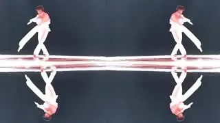MIRROR REFLECTION EFFECT in ADOBE PREMIERE PRO