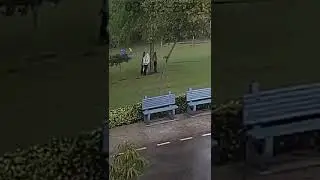 Молния убила четверых