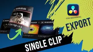 Export Single Clip | DaVinci Resolve