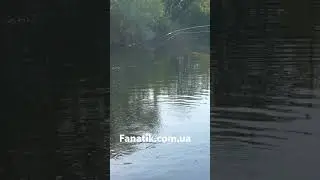 Рибалка на  Поплавок