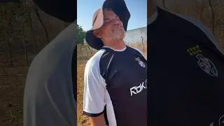 Quando a égua é treinada