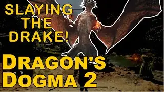 Dragon's Dogma 2 - ep. 20 - Killing Me Gryphons and Drakes!