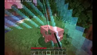 I Survived Minecraft One Chunk Survival