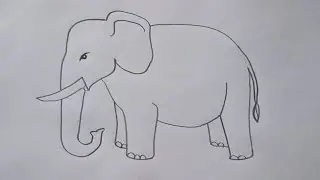 how to draw elephant drawing easy step by step for beginners