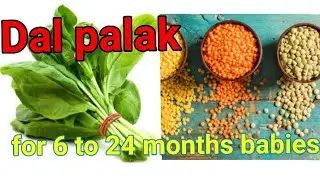 Dal Palak for babies 6+ months// homemade food //healthy food //baby weaning