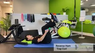 Exercise Library #5: The Reverse Ham Trap Curl