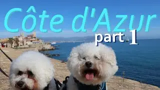 Côte d'Azur : Bichon road trip part 1