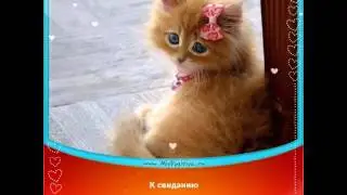 Позитивчик на весь день!!! :)