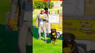Dogs teach us love in its purest form | Part 175 |🥺