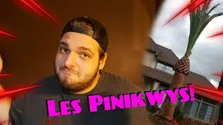 Oui oui ste vidéo la parle de Chibre...