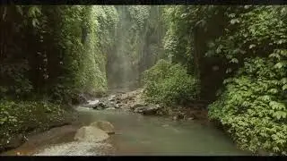 * Leo Rojas - At Night I Think of You *