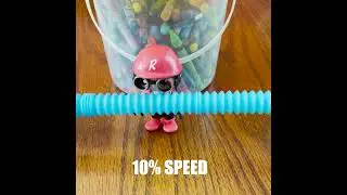 Pop Tube Fidget Sounds With Ryan Toys #shorts