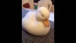 Что за... (3 часть)