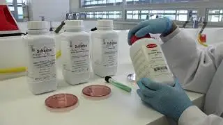 Medios de Cultivo en el Laboratorio de Microbiología