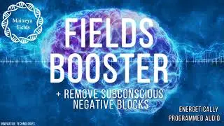 Fields Booster + Increased Energy Sensitivity / Energetically Programmed Audio / Maitreya Reiki™