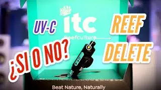 Reef Delete NO ES LO QUE PIENSAS! Review completa, TEST y conclusiones finales