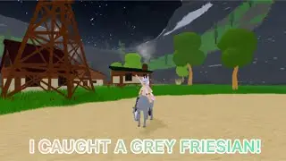 Catching a wild Grey Friesian in Mountain Island! [Wild Horse Island Roblox]