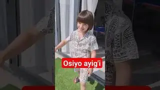 osiyo ayig'i 