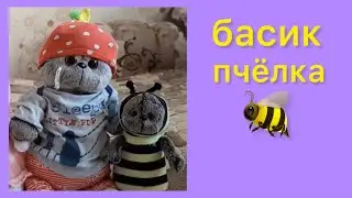 Басик пчёлка