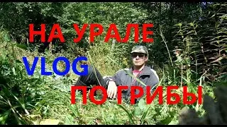 На Урале по грибы