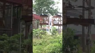 Cách trọn chào mào giàn đơn giản
