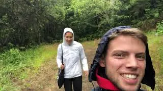 Day 7: Laurisilva Forest (Laurel), Cristo Rei And Beautiful Sceneries! | Madeira Vlogs
