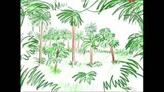 World Animals 20x Faster